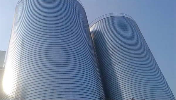 营根镇2座混凝土高架卷板仓